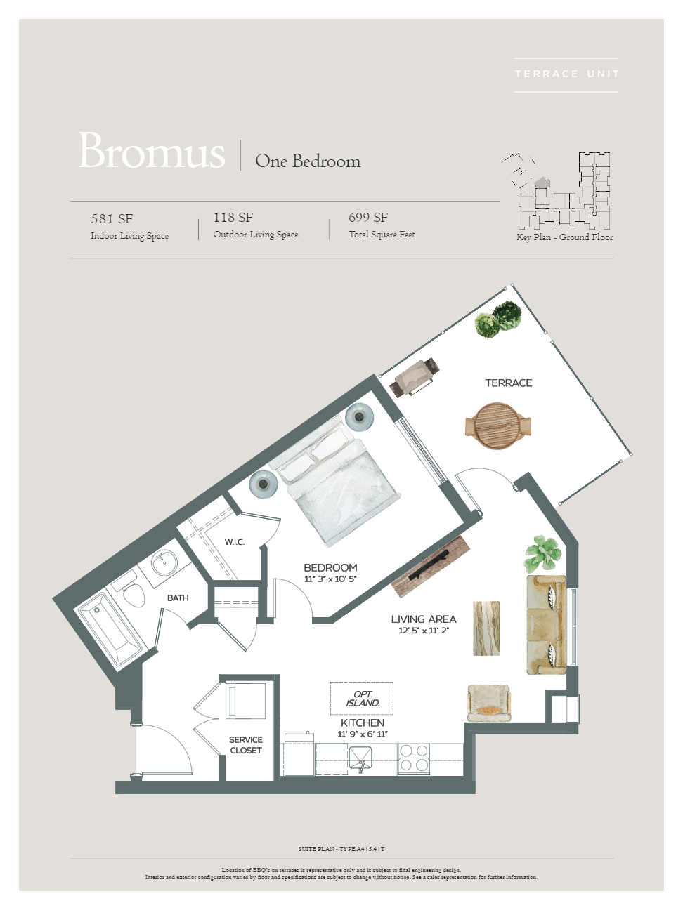 Bromus